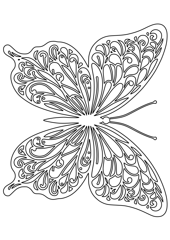 Butterfly 15 free coloring pages for kids
