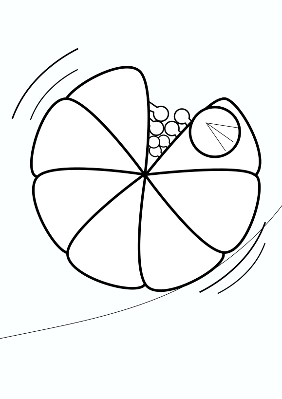 虫の無料塗り絵一覧
