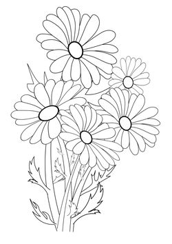 Flower 2 coloring pages for kindergarten and preschool kids activity free