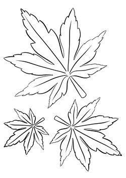 Momiji maple free coloring pages for kids