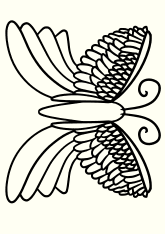 Buttlerfly9 free coloring pages for kids