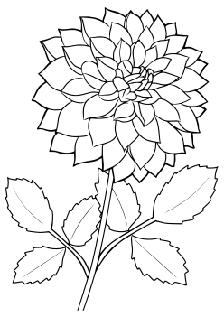 Dalia Flower2 coloring pages for kindergarten and preschool kids activity free