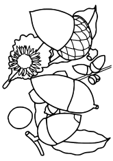 Acorns free coloring pages for kids