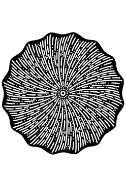 の花火11の黒白塗り絵です