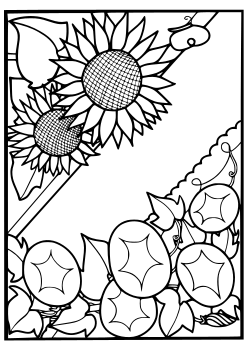 Summer Flowers coloring pages for kindergarten and preschool kids activity free