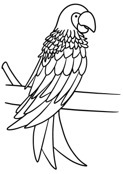 Parrot free coloring pages for kids