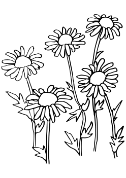 Margaret flower2 free coloring pages for kids