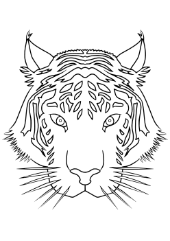 Tiger4 free coloring pages for kids