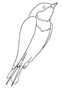 Swallow free coloring pages for kids