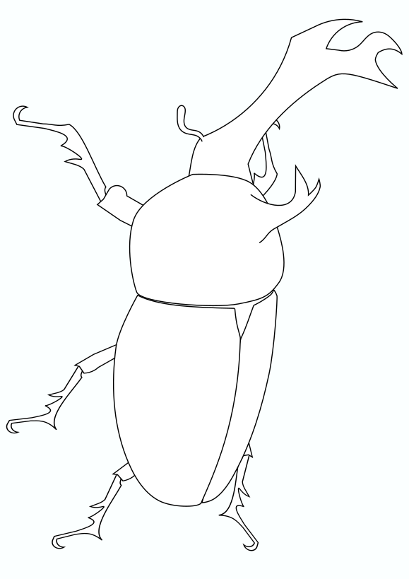 Real beetle free coloring pages for kids