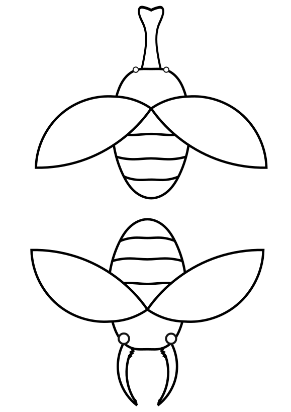 カブト虫とクワガタ虫のシンプルな塗り絵です