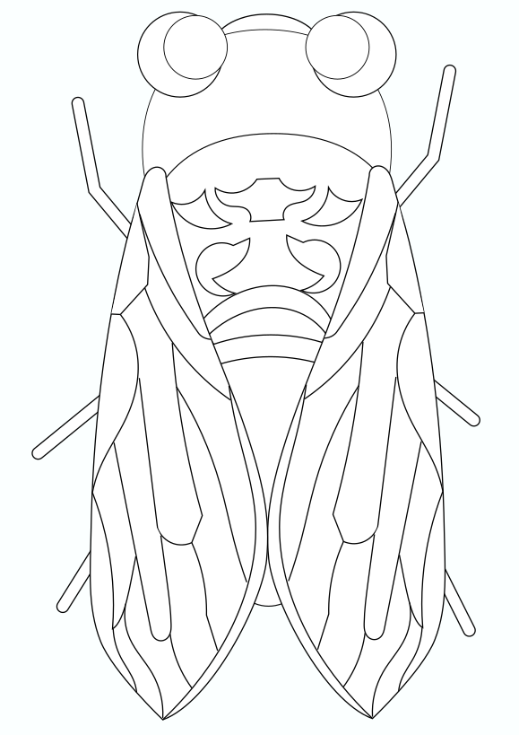 Cicada free coloring pages for kids