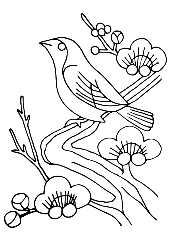 梅の花と鶯の鳥の動物塗り絵です。春に向けて塗ってみてくださいね！